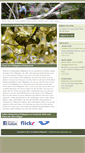Mobile Screenshot of birdguidingphilippines.com
